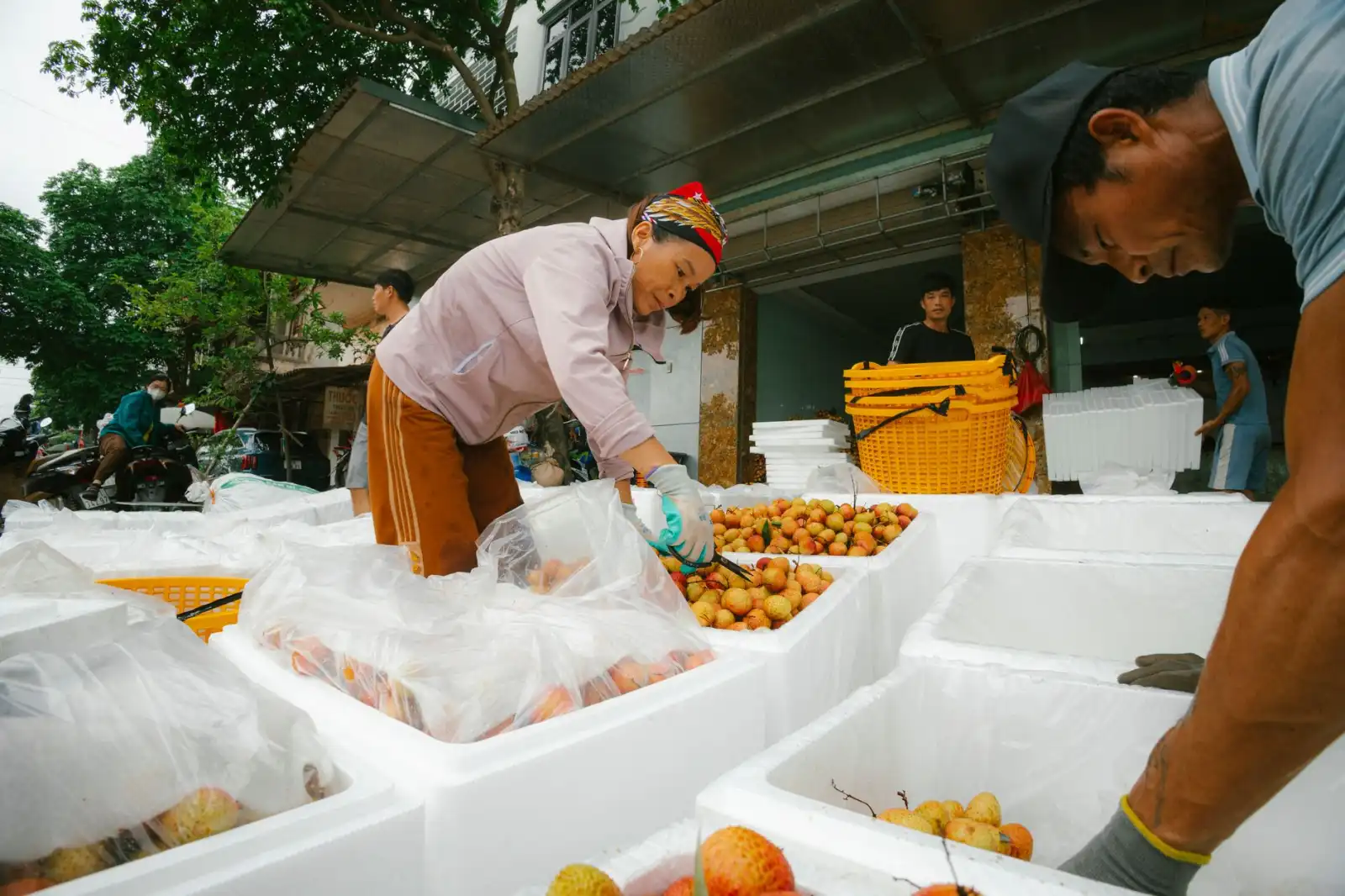 环保设备选型指南:工业废气治理方案的技术对比与成本分析
